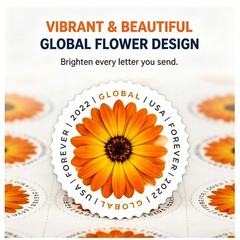 300 pcs 2022 USPS Global Stamps African Daisy Scott 5680 (30 Panes of 10) MNH