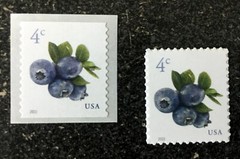 2022USA #5652-5653 4c Blueberries – Coil & Sheet Set of 2 Singles Mint blueberry