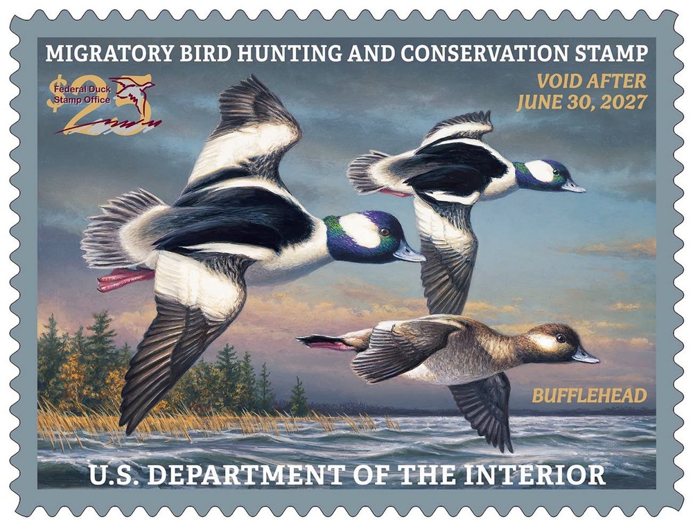 #RW93 2026 -2027 Federal Duck Stamp – Three Buffleheads – MNH (After July 9)