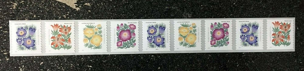 2022USA #5672-5675 Forever Mountain Flora – Plate Coil Strip of 9 PNC