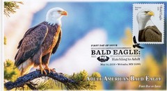 26-220, 2026, Bald Eagle, Complete set of 5 Covers, FDC, Pictorial Postmark,