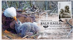 26-220, 2026, Bald Eagle, Complete set of 5 Covers, FDC, Pictorial Postmark,