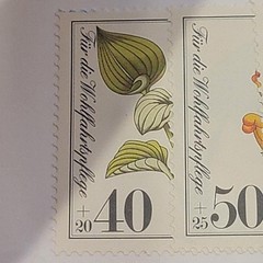 Germany Semi-Postal Stamps Berlin 1981 MNH 9NB182-185 & 186 40+20 Multi-Color