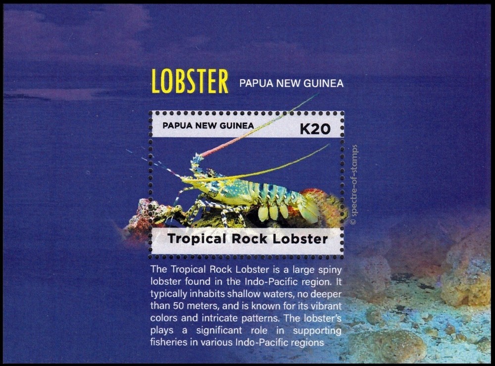 PAPUA NEW GUINEA 2024 LOBSTER MARINE FAUNA