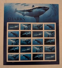 USPS Sharks Forever Stamps Full Sheet of 20 Marine Life Collectible