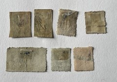 A Set Of Rare Early Australian Victoria Stamps X2 Charon Head Design Tasmania