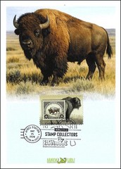 Sc. TBA American Bison Dragon Cards FDC – AFDCS postmark