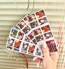 100 PCs FLOWERS FROM THE GARDEN 2025 MAIL FOREVER POSTAGE / 5 BOOKS OF 20.