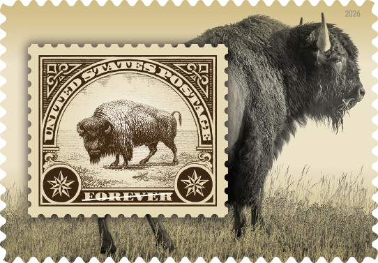 US American Bison Forever Stamp Scott #6098 (After May 25)