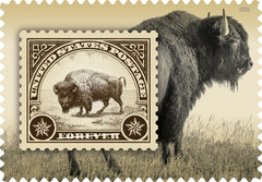US American Bison Forever Stamp Scott #6098 (After May 25)