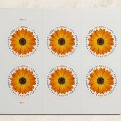 Global African Daisy Scott#5680 – 100pc US Forever M/NH International Pane