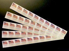 50 First Class Stamps USPS Postage (Current Value $39) 2025 Bulk Cut New