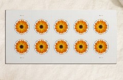 Global African Daisy Scott#5680 – 100pc US Forever M/NH International Pane