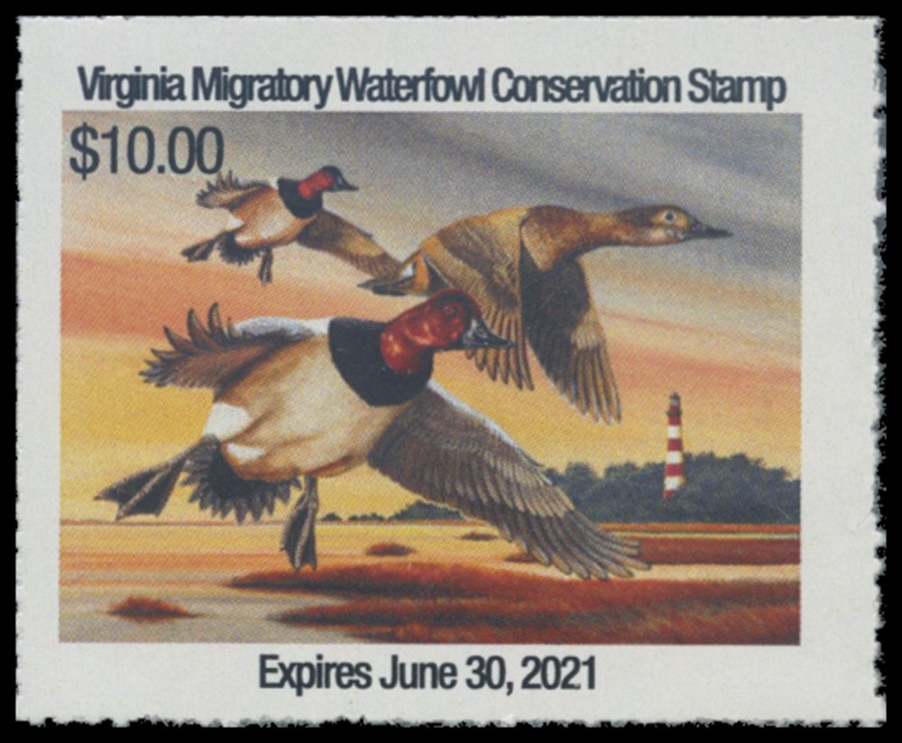2020 Virginia State Duck Stamp Mint Never Hinged Original Gum