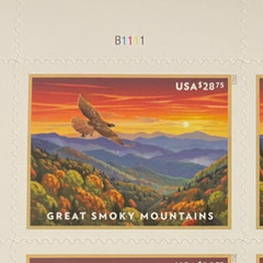 2023 Great Smoky Mountains Priority Mail Express Single Stamp – MNH