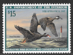U.S. SCOTT RW63 MNH VF – 1996 $15 MULTI-COLOR FEDERAL DUCK STAMP