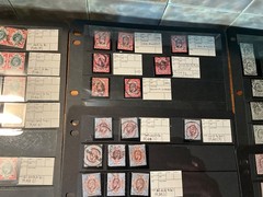 GB KEVII huge study collection in 3 High Values 2/6, 5/-, 10/- 16 cards *a512