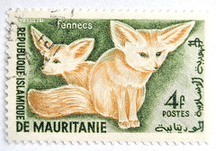⭐Mauritania 1961 – Native Animals Fennec Fox ⭐ US Seller Free Shipping ⭐ 💖