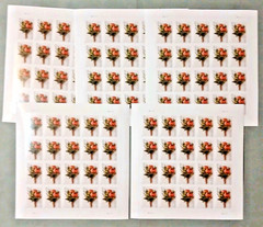 USA 2017 Scott #5199 Celebration Flower Forever Stamps (Lot of 5 Sheets) MNH