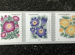 2022USA #5672-5675 Forever Mountain Flora – Plate Coil Strip of 9 PNC