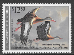 U.S. SCOTT RW57 MNH VF – 1990 $12.50 MULTI-COLOR FEDERAL DUCK STAMP