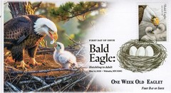 26-213, 2026, Bald Eagle, First Day Cover, Digital Color Postmark, One week old