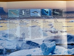 ROSS DEP. 2013 Antarctic Food Web, Presentation Pack