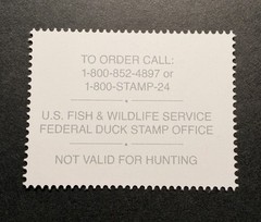 WTDstamps – #JDS34 2026 – Junior Duck Stamp **NINA LIANG** Mint OG NH