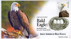 26-214, 2026, Bald Eagle, Complete set of 5 Covers, FDC, Digital Postmark,