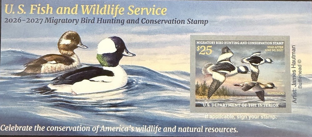 #RW93A 2026 -2027 Federal Duck Stamp – Three Buffleheads – MNH (After July 9)