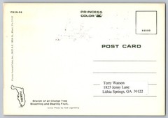 #3492 Orange Maxi Card