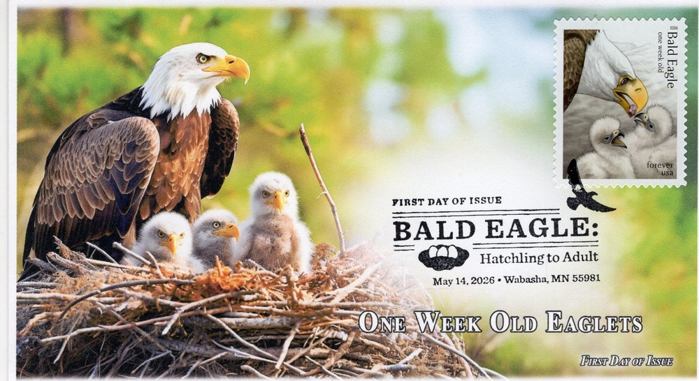 26-219 2026, Bald Eagle, First Day Cover, Pictorial Postmark, One Week Old Eagl