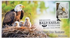 26-219 2026, Bald Eagle, First Day Cover, Pictorial Postmark, One Week Old Eagl