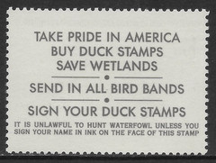 U.S. SCOTT RW55 MNH VF – 1988 $10 MULTI-COLOR FEDERAL DUCK STAMP