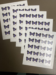 USPS Postage Stamps Sheet of 100 Non Machinable Butterfly Colorado Hairstreak