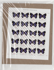 USPS Postage Stamps Sheet of 100 Non Machinable Butterfly Colorado Hairstreak