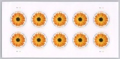 USA 2022 Stamps Global Forever African Daisy Sheet of 10