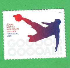 Scott #6104 World Cup Soccer Single Stamp – MNH
