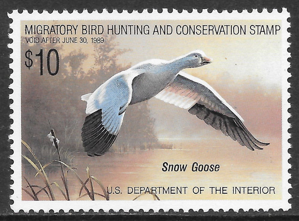 U.S. SCOTT RW55 MNH VF – 1988 $10 MULTI-COLOR FEDERAL DUCK STAMP