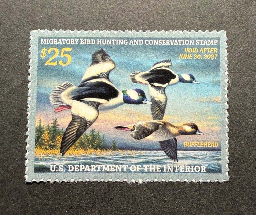 WTDstamps – #RW93 2026 – US Federal Duck Stamp **JIM HAUTMAN** Mint OG NH