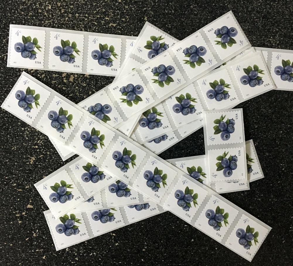 2022USA #5653 4c Blueberries – Coil Various Length Strips (50) wedding postage