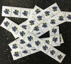 2022USA #5653 4c Blueberries – Coil Various Length Strips (50) wedding postage