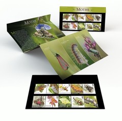 GB 2026 MOTHS Stamp Presentation Pack, mint unaffixed, issue date 09/07/2026
