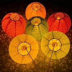 12Pcs Chinese Lunar New Year Decorations 2026 Chinese Paper Round-with LED