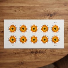 300 pcs 2022 USPS Global Stamps African Daisy Scott 5680 (30 Panes of 10) MNH