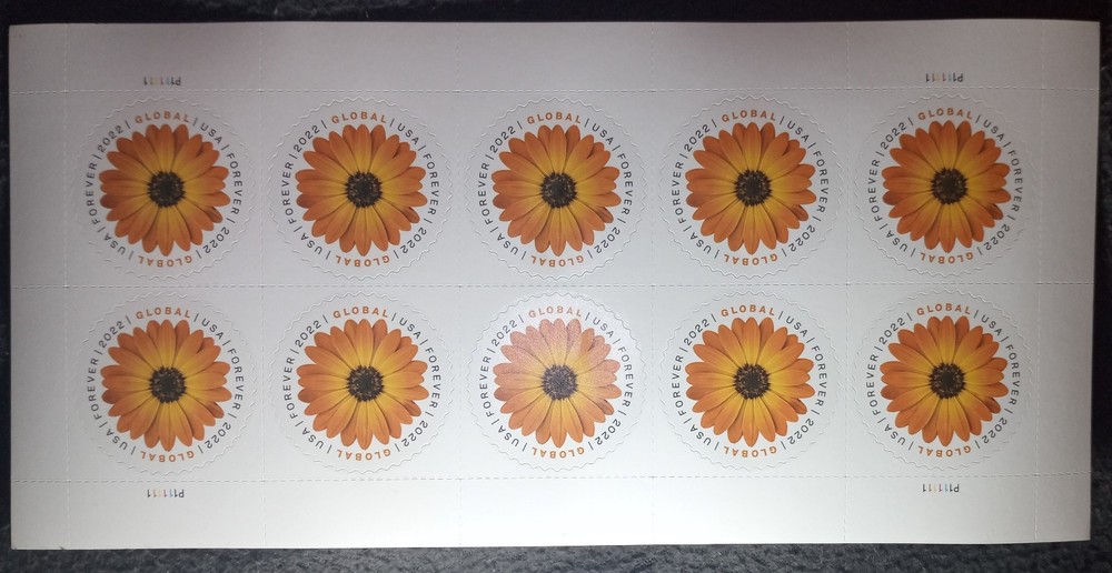 Sheet of 10 – INTERNATIONAL USA Forever/ First Class Stamp Global African Daisy