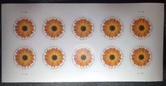 Sheet of 10 – INTERNATIONAL USA Forever/ First Class Stamp Global African Daisy