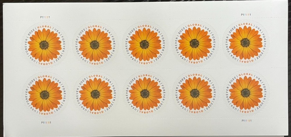 2022 African Daisy Global (International) Stamps Sheet of 10 – Forever – MNH