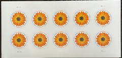 2022 African Daisy Global (International) Stamps Sheet of 10 – Forever – MNH