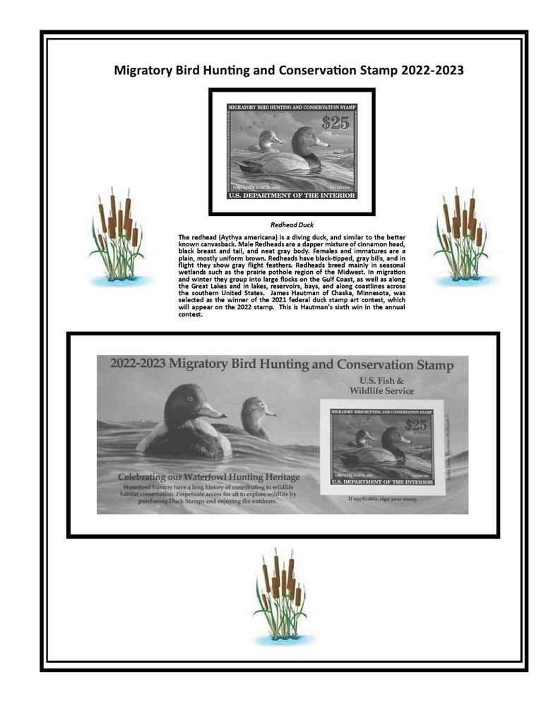 Mac’s RW89 2022-2023 U.S. Federal Duck Stamp Album Supplement